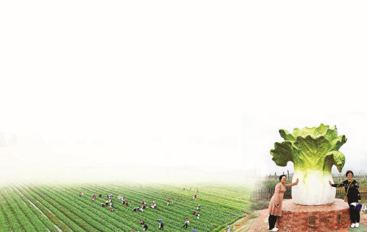     游客打卡生態農場。