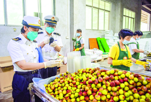     惠州海關關員優化進出口貨物監管。惠州日報記者劉煒煒 通訊員張仕榮 攝