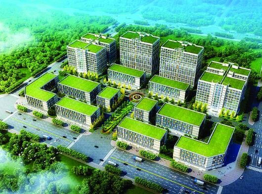 1572916427292098021.jpg 20191105-01.jpg